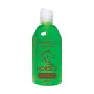 Shampoo Fortalecedor Antiqueda Extrato De Arruda Horse's