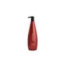 Shampoo Fortalecedor Force System Aneethun 1L