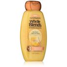 Shampoo Garnier Whole Blends Tesouros de Mel 2x370ml