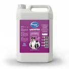Shampoo Genial Cães e Gatos Neutro Paris 5 Litros Shampoo Genial Cães e Gatos Neutro Paris 5 Litros