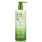Shampoo GIOVANNI 2chic Abacate Ultra-Moist e Azeite de Oliva 700mL