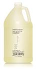 Shampoo GIOVANNI Eco Chic Smooth as Silk Deep Moisture 3,8 L