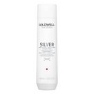 Shampoo Goldwell Dualsenses Silver 300ml para cabelos loiros grisalhos e frios