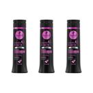 Shampoo Haskell 300Ml Hidra Cavalo Forte - Kit Com 3Un