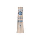 Shampoo Haskell Bendito Loiro 500ml Shampoo Haskell Bendito Loiro 500ml