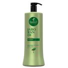 Shampoo Haskell Jaborandi Regulador Oleosidade - 1 Litro
