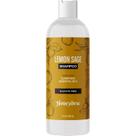 Shampoo Honeydew Lemon Sage para cabelos oleosos com óleo de melaleuca Shampoo Honeydew Lemon Sage para cabelos oleosos com óleo de melaleuca