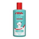 Shampoo Infantil Sem Lágrimas Suave Testado Deramtologicamente Delicado Soul Care Soul Kids 300 ml