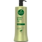 Shampoo Jaborandi Antiqueda 1l