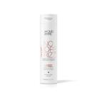 Shampoo Jacques Janine Professionnel No More Frizz Anti-Frizz 240ml