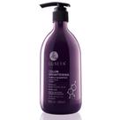 Shampoo Luseta Purple para cabelos loiros 500 ml sem sulfato de parabeno