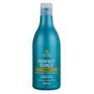 Shampoo Modelador de Cachos Perfect Curly 500 ml DYUSAR