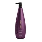 Shampoo No Frizz System 1 Litro Aneethun Defizante