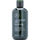 Shampoo Paul Mitchell Tea Tree Lavanda Mint 300mL
