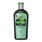 Shampoo Phytoervas Detox 250ml