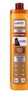 Shampoo Profissional Banho de Verniz - Lanzy 1lt - Coconut Oil, D-Pantenol e Keratina