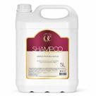 Shampoo Profissional Limpeza Profunda e Eficaz 5L Alto Rendimento Shampoo Profissional Limpeza Profunda e Eficaz 5L Alto Rendimento