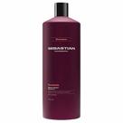 Shampoo Sebastian Penetraitt Shampoo Sebastian Penetraitt