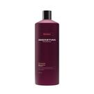 Shampoo Sebastian Professional Penetraitt 1L Shampoo Sebastian Professional Penetraitt 1L