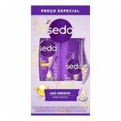Shampoo Seda 300ml+condicionador 190ml Liso Perfeito Shampoo Seda 300ml+condicionador 190ml Liso Perfeito