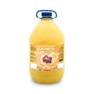 Shampoo The End 5L CatDog
