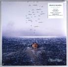 Shawn mendes vinil importado - wonder standard - vinil