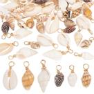 Shell Charms PH PandaHall 120 unidades Spiral Seashells Craft