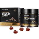 Shilajit Gummies 5Loaf2Fish Organic Pure Himalayan 90 unidades Shilajit Gummies 5Loaf2Fish Organic Pure Himalayan 90 unidades