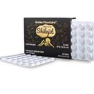 Shilajit Seco Premium Siberian Green - 60 Unidades (200mg)