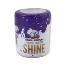 SHINE GLITTER PARA DECORAÇÃO ICEBERG 5g