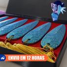 ShinKal Zoey C CAIXA PREMIUM Guerreiras KPOP Kit Completo Efeito Multicolor Espelhado Detalhado