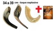Shofar Chifre Carneiro De Tocar 35 A 39 Cm Toque Explosivo + livro