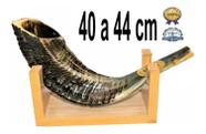 Shofar Chifre De Carneiro De Tocar - De Israel 40-44 Cm Shofar Chifre De Carneiro De Tocar - De Israel 40-44 Cm