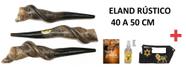 Shofar De Antílope Cefo / Eland / Tocha + Livro - De Israel Shofar De Antílope Cefo / Eland / Tocha + Livro - De Israel