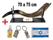 Shofar De Chifre Antílope + suporte + bandeira - De Israel 70 a 75 cm
