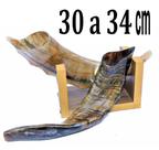 Shofar De Chifre De Cabra Italiana + Suporte