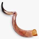 Shofar Halleluyah Kudu Kosher totalmente polido original de Israel Shofar Halleluyah Kudu Kosher totalmente polido original de Israel