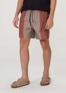 Short Masculino com Elastano HERING
