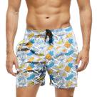 Short Praia Shorts Banho Bermuda Verão Banana Abacaxi Cartoon Frutas 978 Short Praia Shorts Banho Bermuda Verão Banana Abacaxi Cartoon Frutas 978