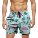 Short Praia Shorts Banho Bermuda Verão Flamingos Plantas Cartoon 1824