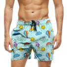 Short Praia Shorts Banho Bermuda Verão Funny Balão Avião 872 Short Praia Shorts Banho Bermuda Verão Funny Balão Avião 872