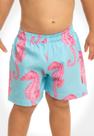 Short Swim Infantil Cavalo Marinho