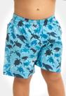 Short Swim Infantil Turtles