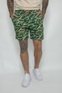 Short Swim Veraneio