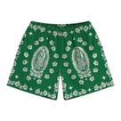 Shorts DIOTSR com estampa retrô para homens, basquete, verde Shorts DIOTSR com estampa retrô para homens, basquete, verde
