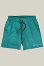 Shorts Masculino Elastano Premium WSS Natação