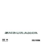 Sigla Modelo Endurance Fiat Fiorino Nova Strada