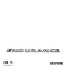 Sigla Modelo Endurance Fiat Novo Fiorino Toro