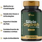 Silício Orgânico 490 MG 120 Cápsulas Produto Premium dipp Muwiz