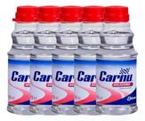 Silicone Automotivo Carnu 100ml - 5 Unidades